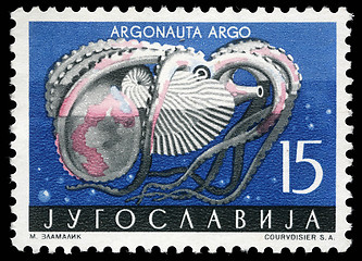 Image showing Stamp printed in Yugoslavia shows the octopus