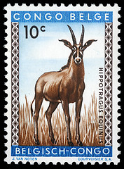 Image showing tamp printed in Congo shows the roan antelope