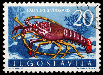 Image showing Stamp printed in Yugoslavia shows the spiny lobster