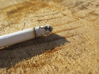 Image showing Image of fuming cigarette laying on a tree