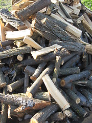 Image showing Heap of the prepared fire wood