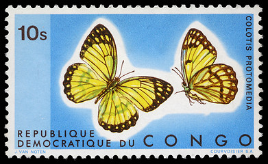 Image showing Stamp printed in Congo showing Colotis Protomedia butterfly