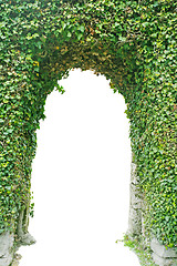 Image showing Entrance made of green grass isolated.