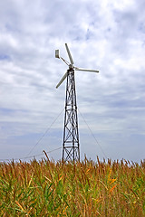 Image showing Turbines among high reed 