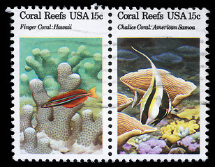 Image showing Stamp printed in the USA shows Coral Reefs