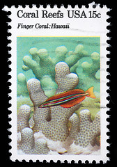 Image showing Stamp printed in the USA shows Coral Reefs, Finger Coral, Hawaii