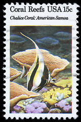 Image showing Stamp printed in the USA shows Coral Reefs, Chalice Coral, American Samoa