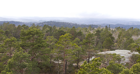 Image showing forested landscape in south norway