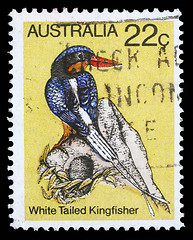 Image showing tamp printed in Australia shows image of a white tailed kingfisher