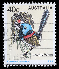 Image showing tamp printed in Australia shows image of a Lovely Wren