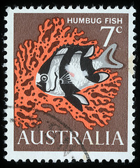 Image showing Stamp printed in Australia shows image of a humbug fish