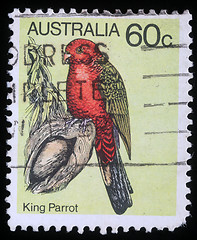 Image showing Stamp shows image of a King Parrot