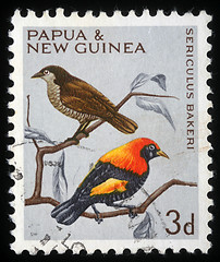 Image showing tamp printed in Papua New Guinea shows a bird, sericulus bakeri