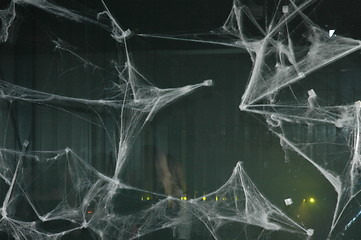 Image showing Scary night with spidernet