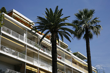 Image showing Condominium and palms
