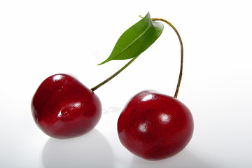 Image showing two cherries with shadows on a branch