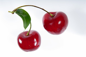 Image showing two cherries with shadows on a branch