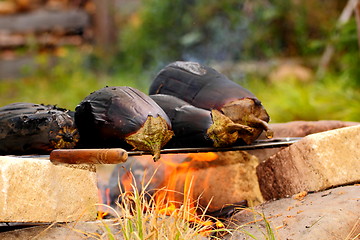 Image showing campfire barbecue