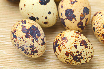 Image showing quail eggs