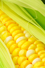 Image showing corn cob