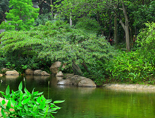 Image showing park with pond 