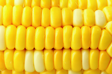 Image showing corn cob