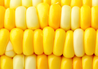 Image showing corn cob