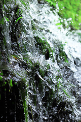 Image showing fresh spring water from mountain