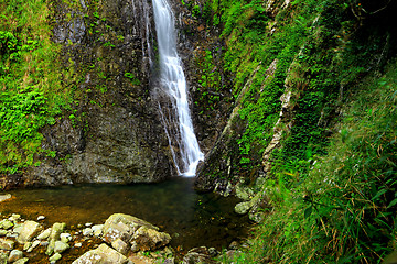 Image showing waterfall