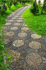 Image showing path in chinese garden