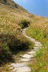 Image showing mountain path
