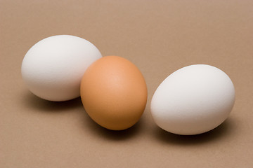 Image showing Eggs