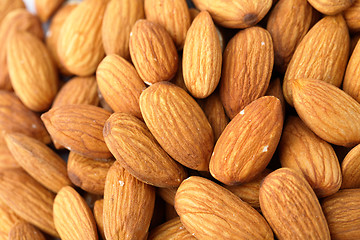 Image showing almond