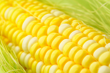 Image showing corn cob close up