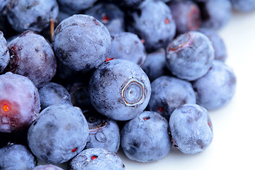 Image showing blueberry