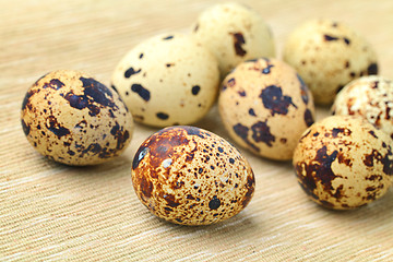 Image showing Quail Egg