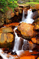 Image showing golden waterfall in Taiwan