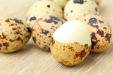 Image showing quail eggs