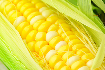 Image showing corn cob close up