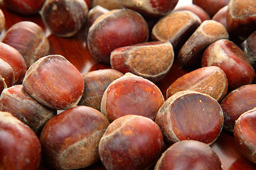 Image showing chestnut