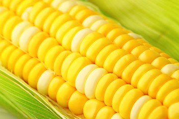 Image showing corn cob with green leaves
