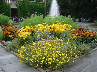 Image showing Flowerbed