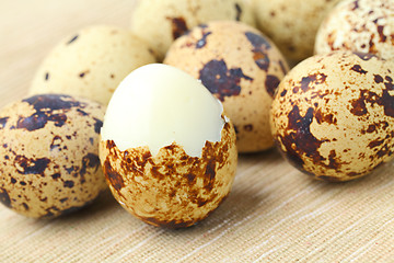 Image showing Quail Egg