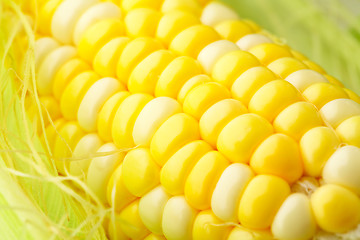 Image showing corn cob