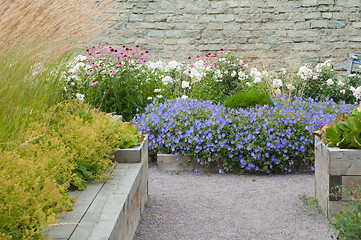 Image showing Beautiful garden with blossoming plants