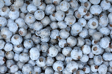 Image showing background of a ripe blueberries