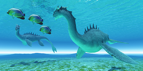 Image showing Sea Dragon Fight