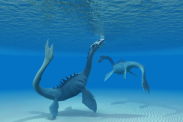 Image showing Two Sea Dragons