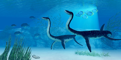 Image showing Plesiosaurus Dinosaur