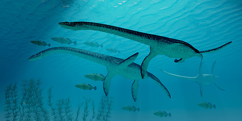 Image showing Plesiosaurus Migration